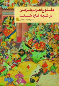 فتوح اعراب و ترکان در شبه قاره هند